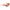 Ferragamo Orange Injected Sunglasses Ferragamo