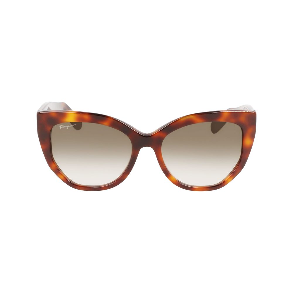 Ferragamo Brown Acetate Sunglasses Ferragamo