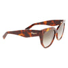 Ferragamo Brown Acetate Sunglasses Ferragamo