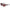 Lacoste Red Injected Sunglasses Lacoste