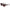 Lacoste Brown Injected Sunglasses Lacoste
