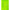 Dior Green Cotton Polo Shirt Dior