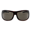 Hugo Boss Brown Women Sunglass Hugo Boss