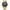 Police Gold Stainless Steel Watch Police