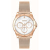 Hugo Boss Gold Stainless Steel Watch Hugo Boss