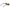 Scotch & Soda Brown Men Sunglass Scotch & Soda
