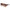 Scotch & Soda Brown Women Sunglass Scotch & Soda