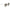 Jimmy Choo Gold Metal Sunglasses Jimmy Choo