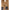 Add Bronze Polyamide Jackets & Coat Add
