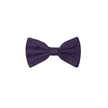 Dolce & Gabbana Purple Silk Bowty Dolce & Gabbana