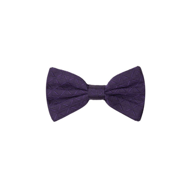 Dolce & Gabbana Purple Silk Bowty Dolce & Gabbana