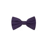 Dolce & Gabbana Purple Silk Bowty Dolce & Gabbana