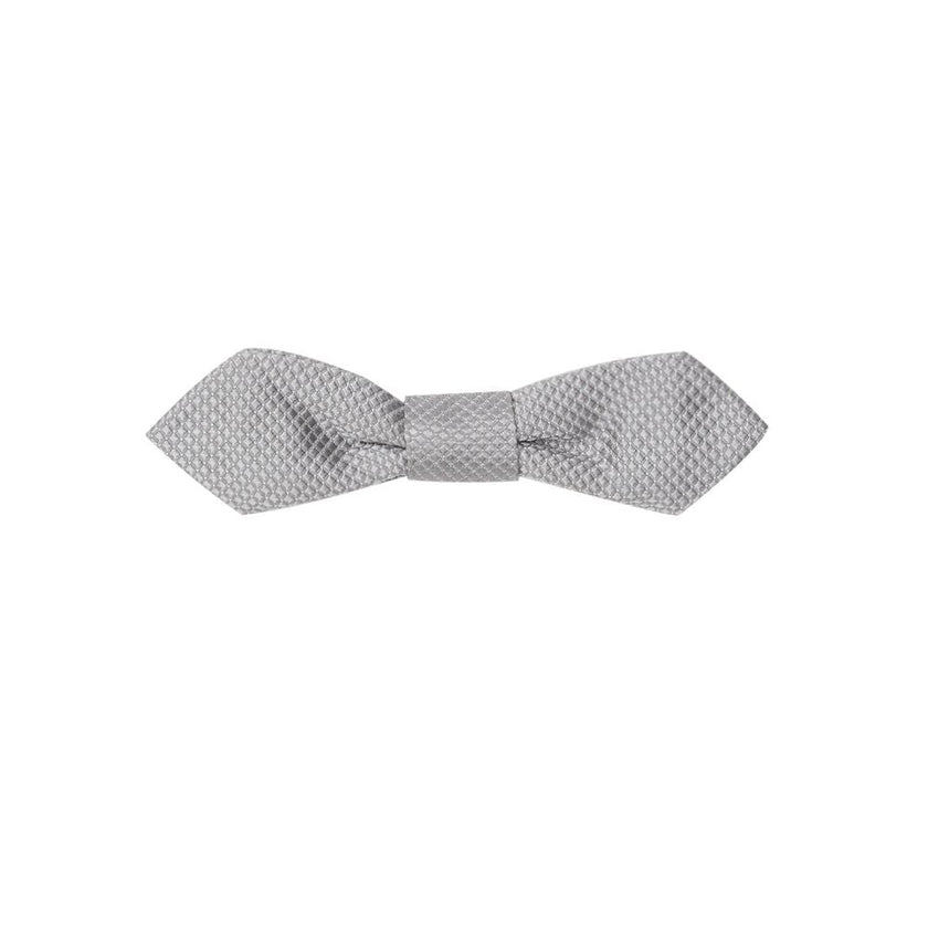 Dolce & Gabbana Gray Silk Bowtie Dolce & Gabbana