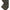 Dolce & Gabbana Green Cotton Pant Dolce & Gabbana