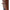 Burberry Brown Leather Boot Burberry