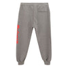 Alexander McQueen Chic Gray Cotton Blend Trousers Alexander McQueen
