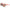 Nike Bicolor Injected Sunglasses Nike