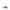 Burberry New Regis Sneakers Burberry
