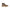 Carrera Brown Polyester Women's Boot Carrera