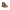 Carrera Brown Polyester Women's Boot Carrera