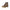 Carrera Brown Polyester Women's Boot Carrera