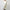 Herno White Polyester Men Jacket Herno