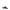 Tory Burch Mellow Mules Tory Burch