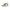 Tommy Hilfiger Green Polyester Sneaker Tommy Hilfiger
