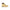 Carrera Beige Polyester Men Boot Carrera