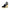 Tommy Hilfiger Blue Cotton Sandal Tommy Hilfiger