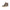 Carrera Brown Polyester Men Boot Carrera