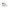 Tommy Hilfiger Green Leather Men Sneaker Tommy Hilfiger