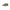 Carrera Green Polyester Sneaker Carrera