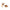 Ralph Lauren Brown Leather Sandal Ralph Lauren