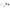 Tommy Hilfiger Gold Unisex Sunglass Tommy Hilfiger
