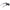 Tommy Hilfiger Black Men Sunglass Tommy Hilfiger