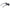 Tommy Hilfiger Black Women Sunglass Tommy Hilfiger