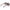 Max Mara Brown Women Sunglass Max Mara