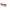 Max & Co Brown Women Sunglass Max & Co
