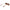 Max & Co Brown Women Sunglass Max & Co