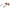 Max Mara Black Women Sunglass Max Mara