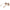 Max Mara Beige Women Sunglass Max Mara