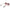 Max Mara Gold Women Sunglass Max Mara
