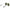 Max Mara Gold Women Sunglass Max Mara