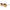 Max Mara Brown Women Sunglass Max Mara