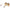 Max Mara Brown Women Sunglass Max Mara