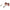Max Mara Brown Women Sunglass Max Mara