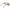 Max Mara Cream Women Sunglass Max Mara