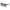 Emilio Pucci Brown Women Sunglass Emilio Pucci