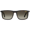 Carrera Brown Injected Sunglasses Carrera